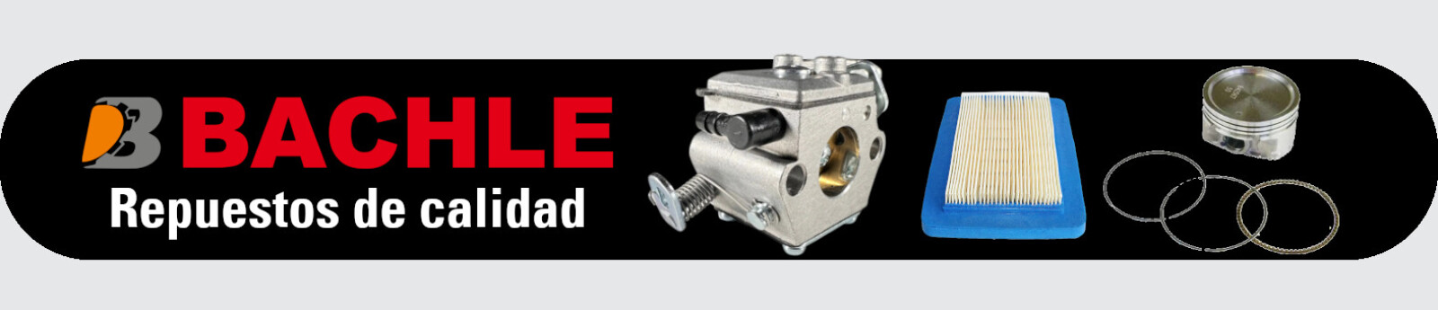 bachle febrero 2025 cover