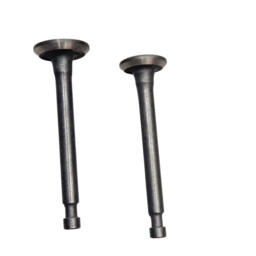 JUEGO DE VALVULAS (ADMISION, ESCAPE) P/FUMIGADORA HYUNDAI TURBO768PRO