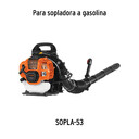 63effcb5701ac97885da68abd2bc98573baf47c9.jpg